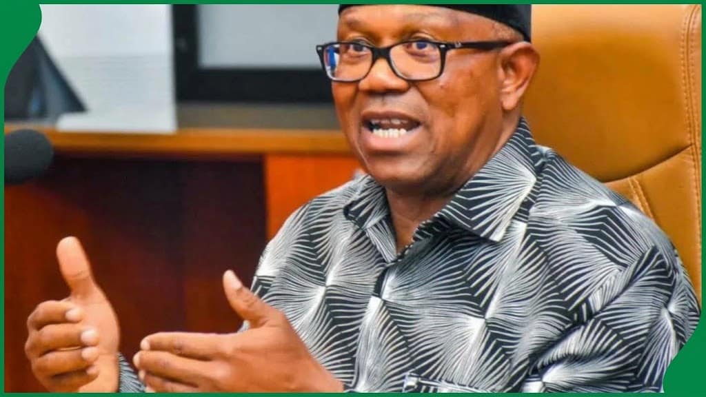 Featured image for Labour Party sues UNN for refusing to release Peter Obi’s academic records