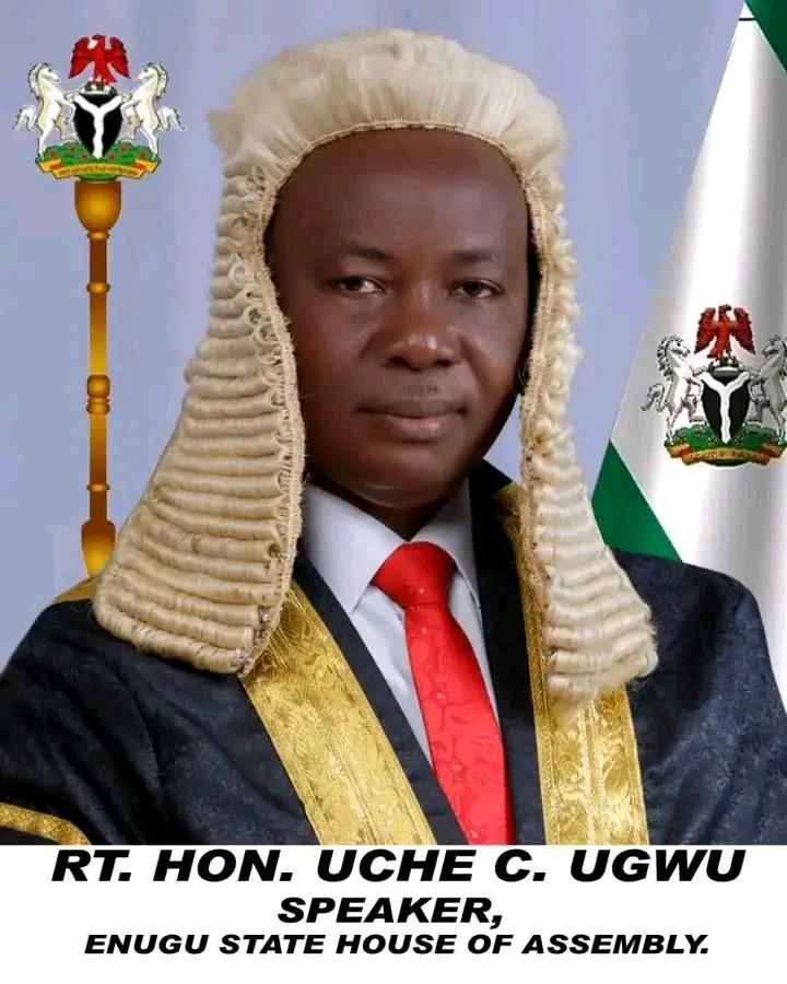 Featured image for Enugu State House of Assembly passes resolution to establish state police – Speaker