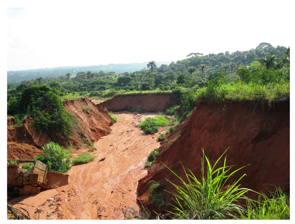 Featured image for Sen Osita Ngwu raises motion over erosion ravaging Enugu West communities